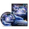 Видеокурс “Три Кита Гармонии”- продвинутый уровень